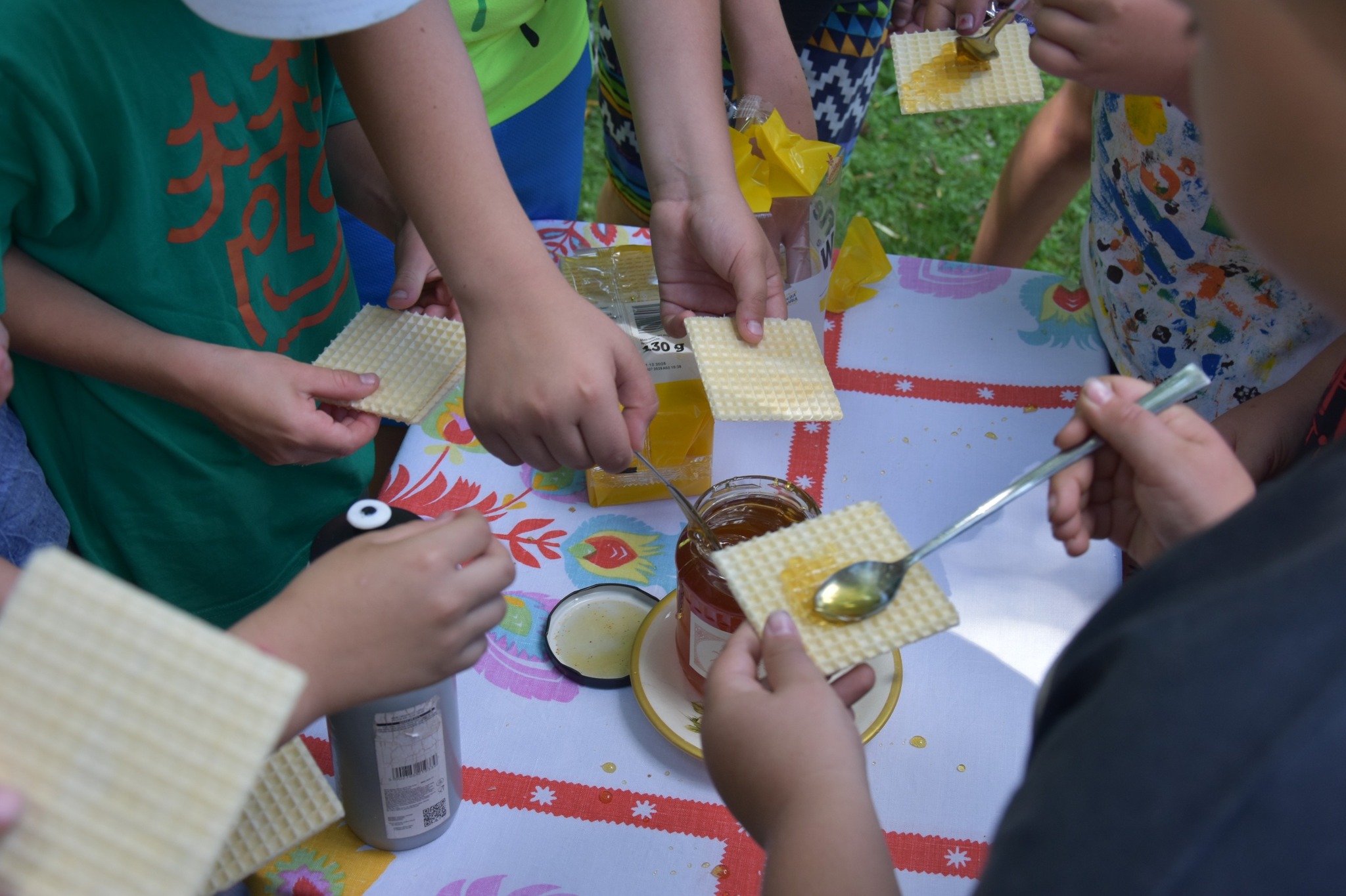 Zielono mi... EkoWakacje z Domem Kultury 2025